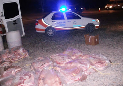 El Senasa descubrió otro cargamento de carne trucha 