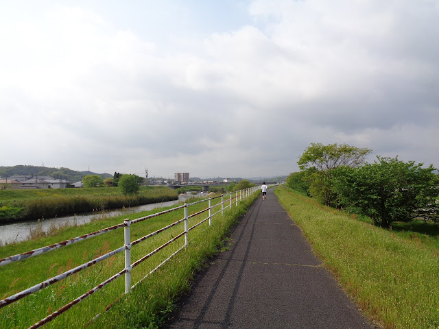 伯太川を上流に歩きます