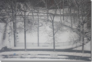 parkchester-bronx-ny