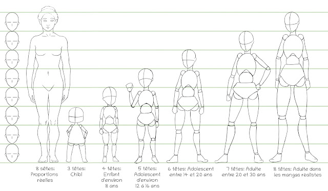 Schéma représentant les différence de proportions du corps manga selon les âges en comparaison avec un véritable corps humain