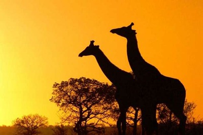 Africa-travel-photos-26