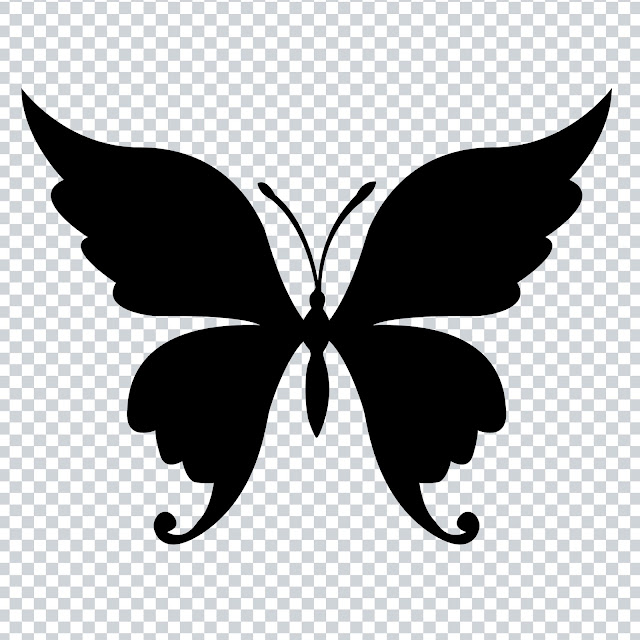 Free Download PNG - Buterfly Beautiful Shape