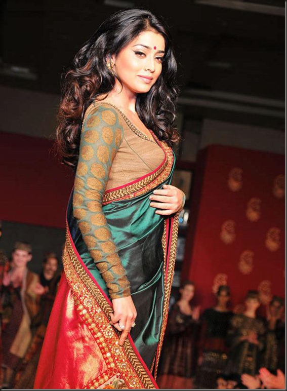 shriya_saran_cute_in_saree_photo