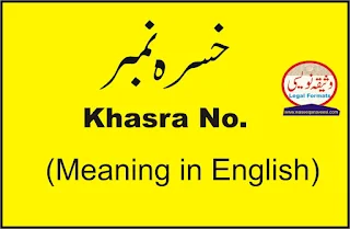 Khasra Number meaning in English