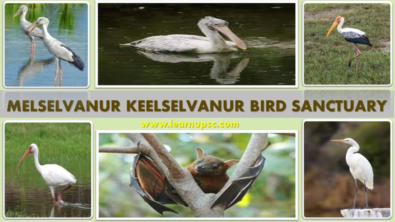 Melselvanur Keelselvanur Bird Sanctuary