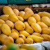 The King of Fruits: 100 Interesting Facts about Mango 