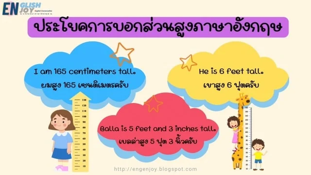 การบอกส่วนสูงภาษาอังกฤษ