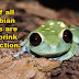 Some Facts To Keep Your Brain In Tip-Top Shape (62 Pics)