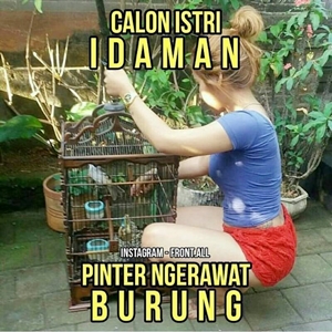 Calon Istri Idaman Pinter Ngerawat Burung Meme Perempuan Wanita Cewek Cantik Sexy Gambar Foto Kata Kata-kata Kalimat Lucu Komedi Humor Lawak Lelucon Guyon Kocak Koplak Canda Tawa