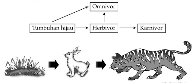 Tumbuhan Hijau