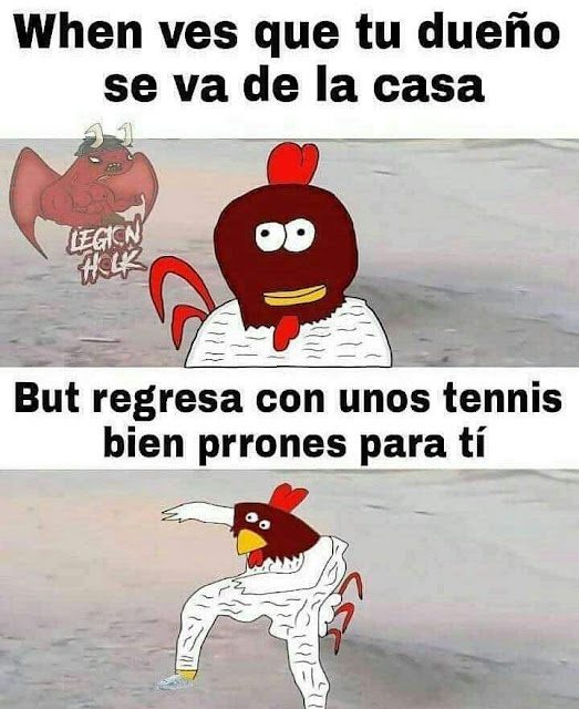 Unos buenos tennis