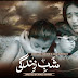 Shab-e-Zindagi Episode 1 28 January 2014 Online