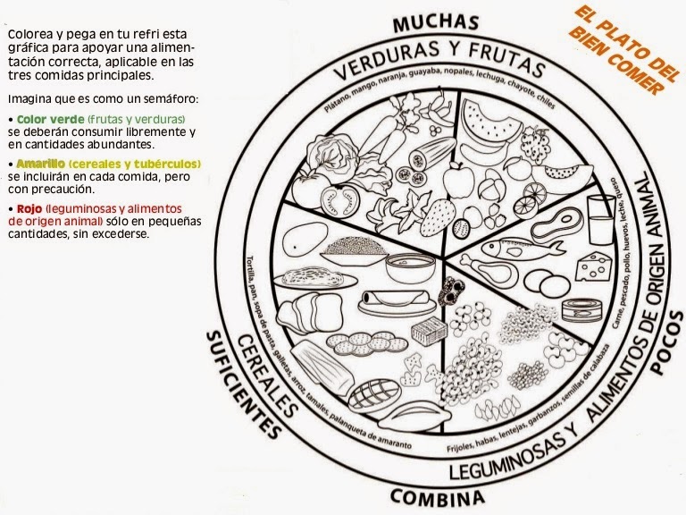 Imagenes Para Colorear De Los Alimentos Del Plato Del Buen Comer