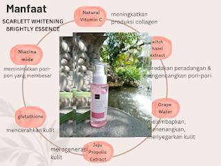 scarlett brightly essence toner