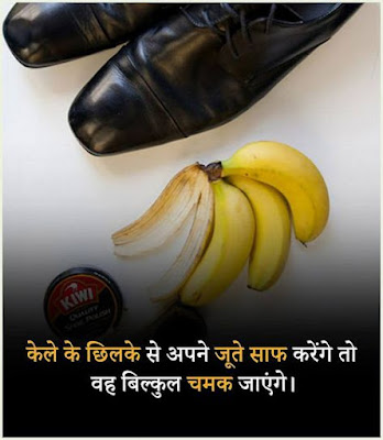 21 Amazing facts in Hindi 2022 - रोचक तथ्य about fruits