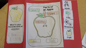 https://www.teacherspayteachers.com/Product/My-Kindergarten-Apple-Notebook-2101589