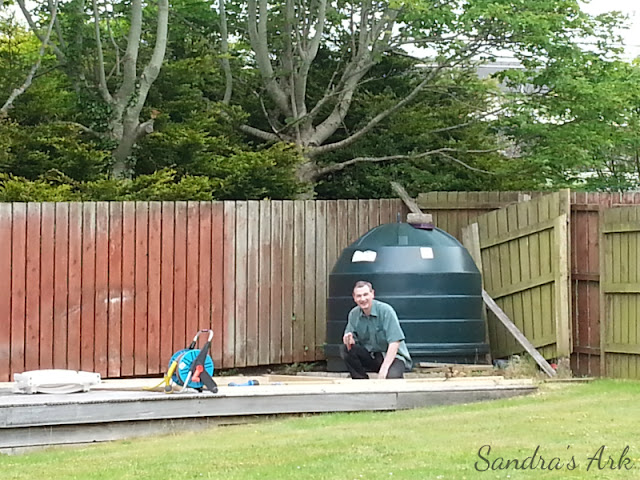 Sandra's Ark: Preparation for a New Garden Shed 