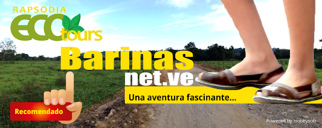 http://www.barinas.net.ve