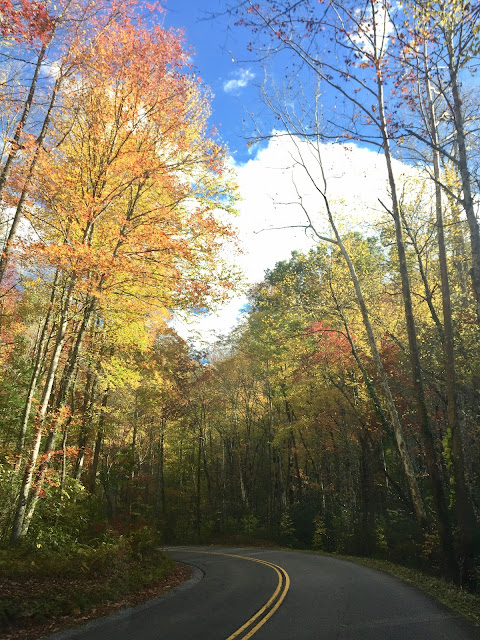 Smokey Mountains National Park