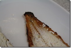 IMG_5754 IMG_5754