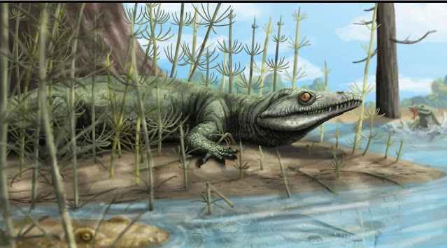 Teyujagua paradoxa — рептилия, восполнившая пробел в эволюции