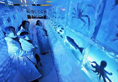 Japan’s Frozen Aquarium Seen On www.coolpicturegallery.net