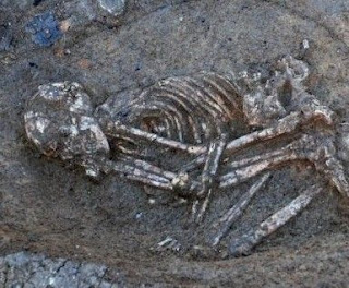 Откриха човешки скелет край язовир Александър Стамболийски