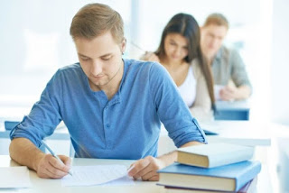 essay writing services