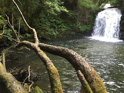 Spain, Marronda forest and the Eo River   by E.V.Pita (2015)  http://evpita.blogspot.com/2015/06/spain-marronda-forest-and-eo-river.html   Fraga de Marronda - río Eo (Baleira, Lugo)  por E.V.Pita (2015)