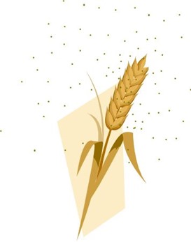 Wheat pollen