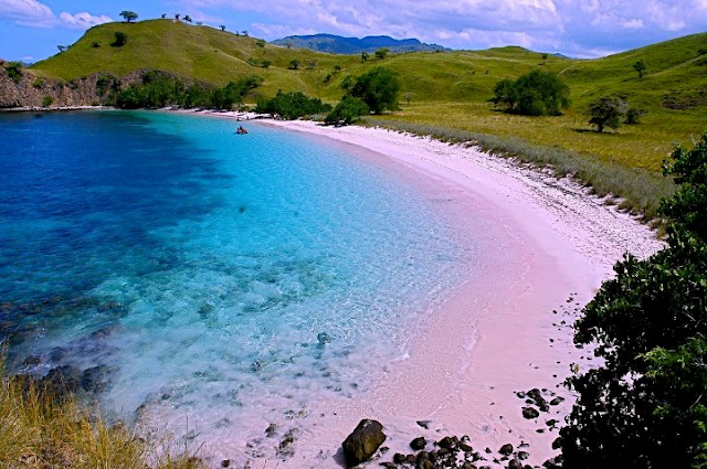 Pantai Pink di Pulau Komodo