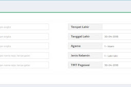 Cara Mengisi Data PTK Baru di EMIS Online Agar Cepat Disetujui