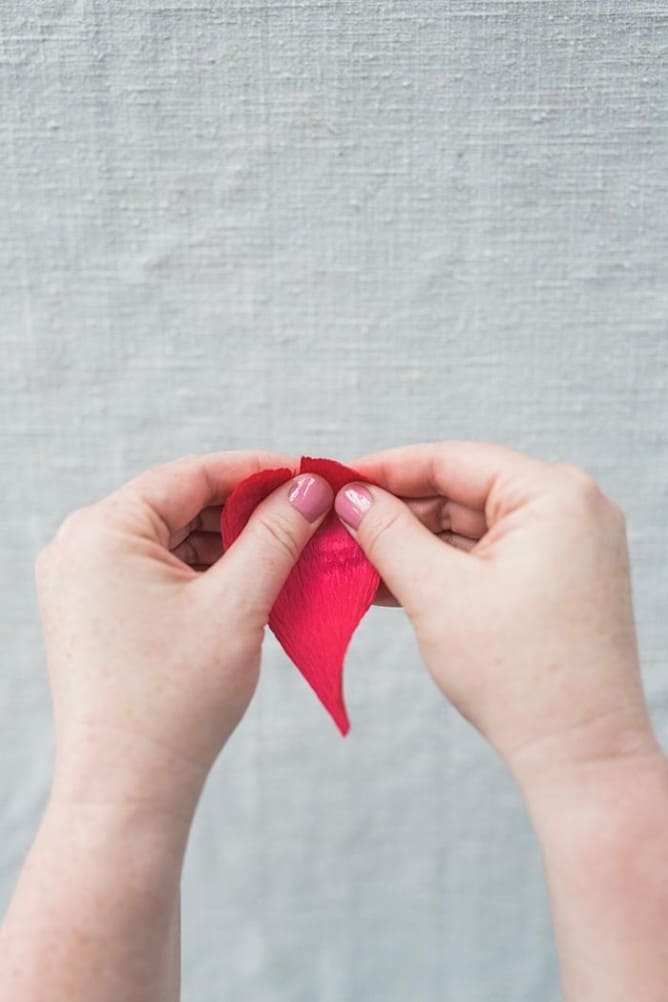 DIY Coral Charm Peony Paper Flowers