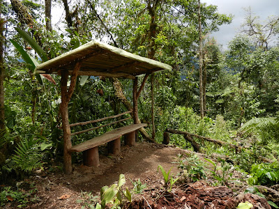 Mindo Gardens Mirador