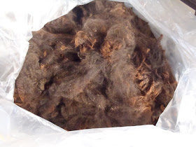 Raw Alpaca Fiber