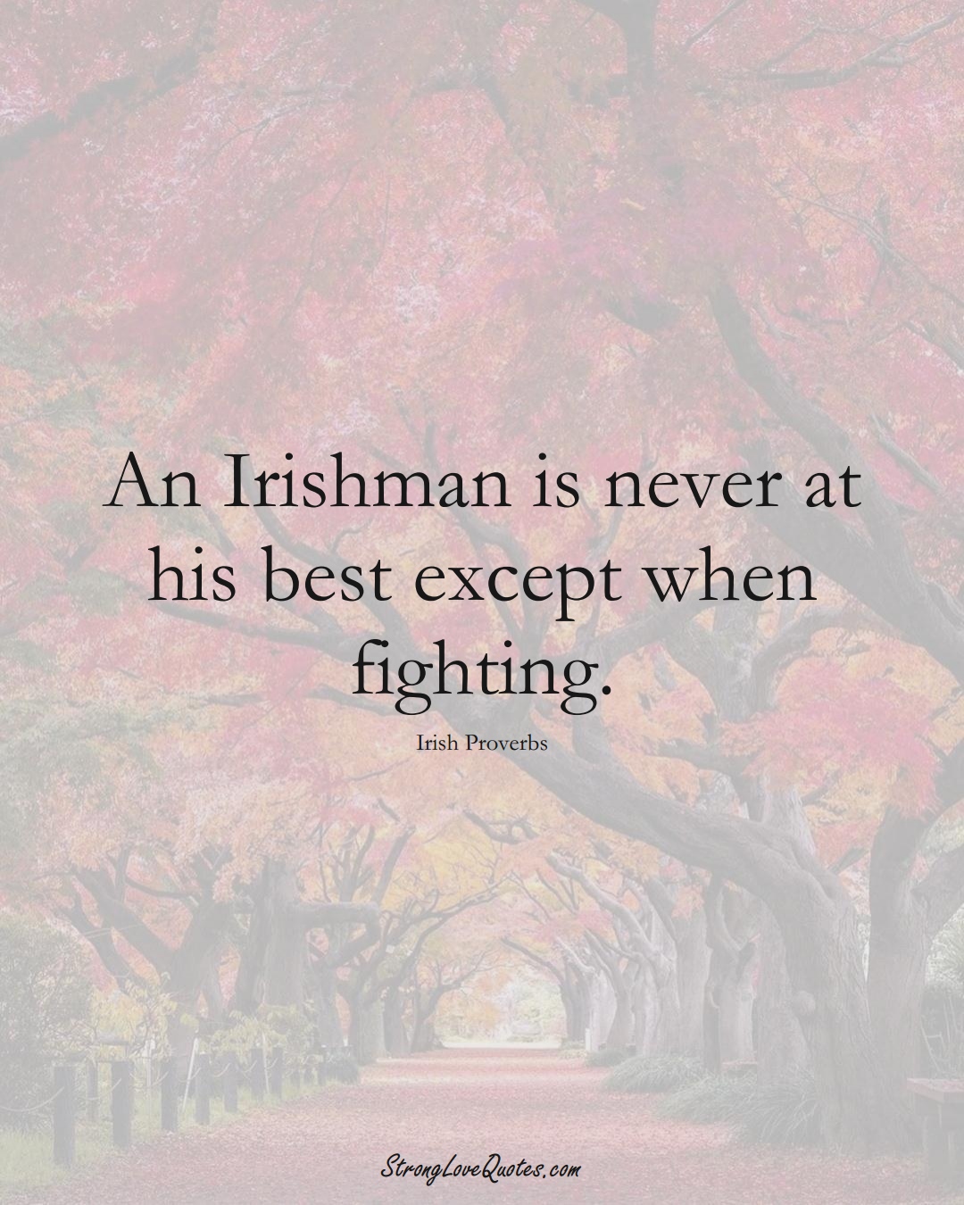 An Irishman is never at his best except when fighting. (Irish Sayings);  #EuropeanSayings