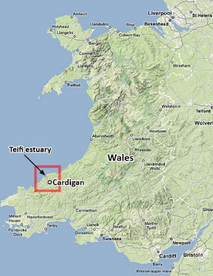 Google Earth reveals fish trap made from rocks 1,000 years ago off British coast Seen On www.coolpicturegallery.net