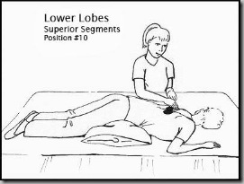 PD-10-LowerLobes_Superior_Segments