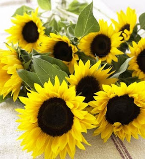 [Image: bunga+matahari.jpg]