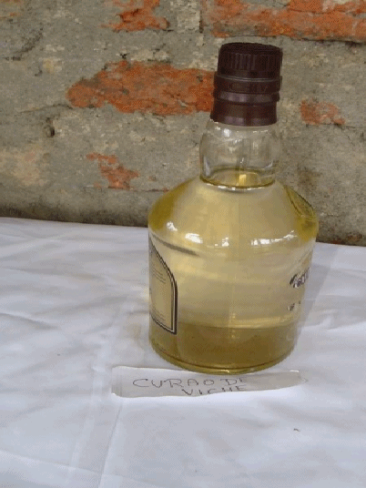 CURAO DE VICHE