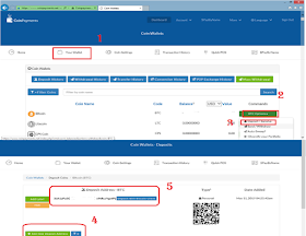 Coinpaymnet dash bord