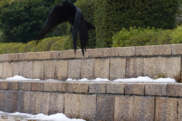 鳥取県米子市西町 湊山公園 護岸遊歩道