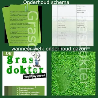 gazononderhoud schema