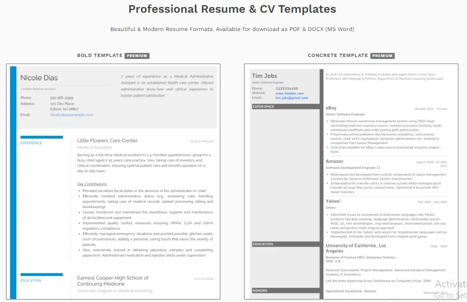3 Best Resume Formats for 2024