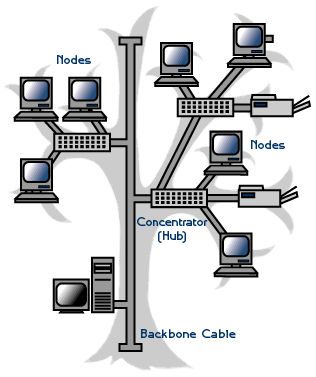 Tree topology  Computers and Accessories