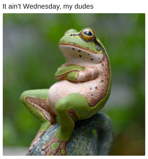not Wednesday frog