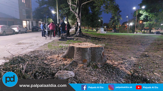 Sesión Especial por la Tala de árbol en calle África 