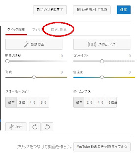 Youtube　編集　モザイク