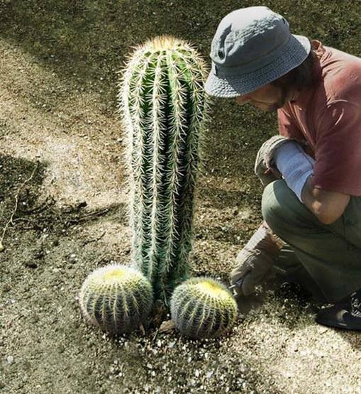 Most Suggestive Cacti On Earth 290