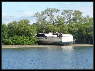 beached boat